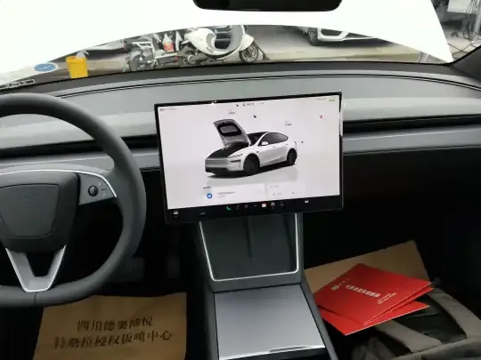 Tesla Model Y 2026 (100 км)