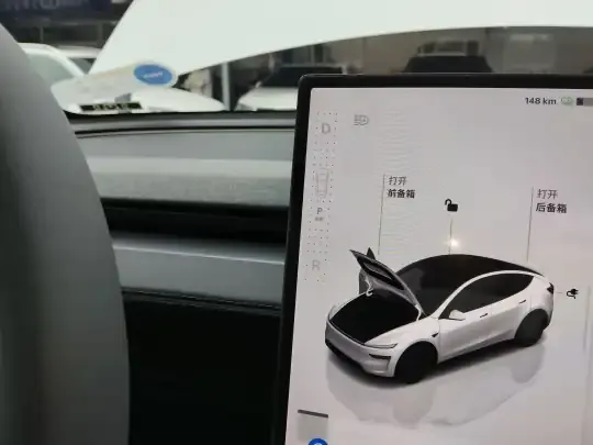 Tesla Model Y 2026 (100 км)