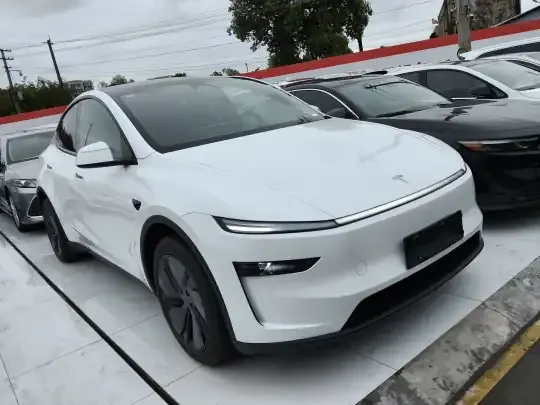 Tesla Model Y 2026 (100 км)