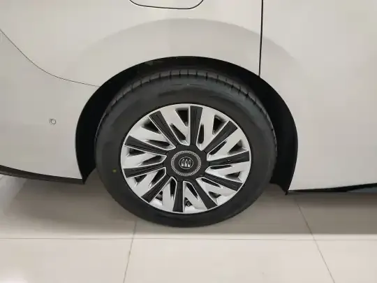 Buick Envision Family 2026 (1300 км)