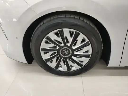 Buick Envision Family 2026 (1300 км)
