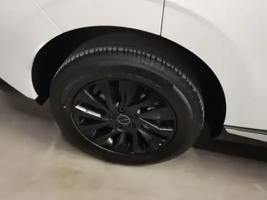 FORTHING Xinghai T5 2026 (800 км)